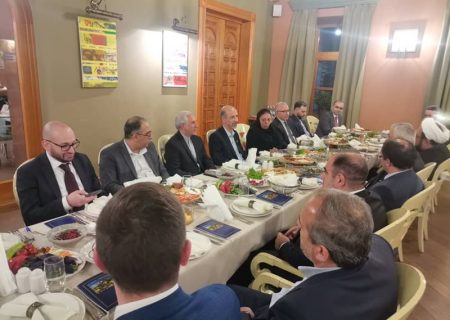 وزیر نیرو با معاون نخست وزیر ارمنستان دیدار کرد/ تاکید دو طرف بر توسعه روابط دو کشور