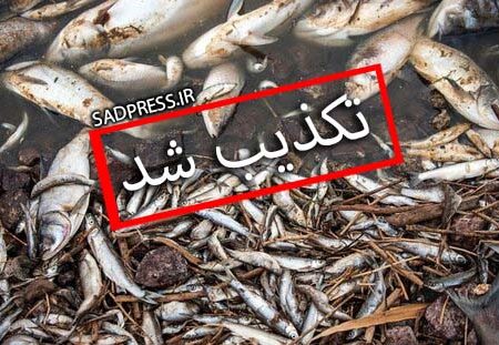تکذیب خبر اتلاف گسترده آبزیان در رودخانه دز