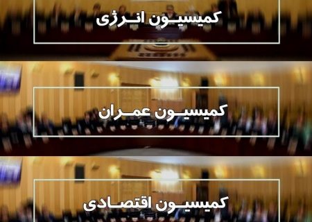 وزیر نیرو در ۳ کمیسیون‌ مختلف مجلس حضور می یابد
