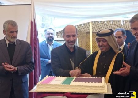 دیدار وزیر نیرو با سفیر قطر در ایران
