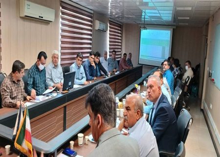 سهمیه های پیشنهادی حجم آب برای کشت تابستانه تصویب شد