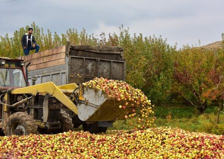 حجم بالای ضایعات کشاورزی؛ فاجعه‌ای خاموش برای منابع آب کشور