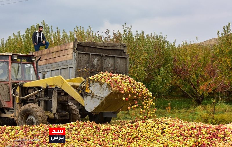 حجم بالای ضایعات کشاورزی؛ فاجعهای خاموش برای منابع آب کشور
