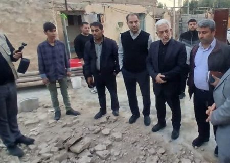 معاون وزیر نیرو از مناطق زلزله‌زده مسجدسلیمان بازدید کرد