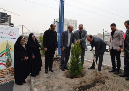 کاشت و توزیع ۱۱۰ هزار اصله نهال در نیروگاه‌های حرارتی کشور