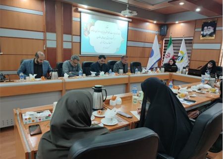 برگزاری نشست هم اندیشی مشاور وزیر نیرو با مدیران عامل و مشاورین صنعت آب و برق خوزستان